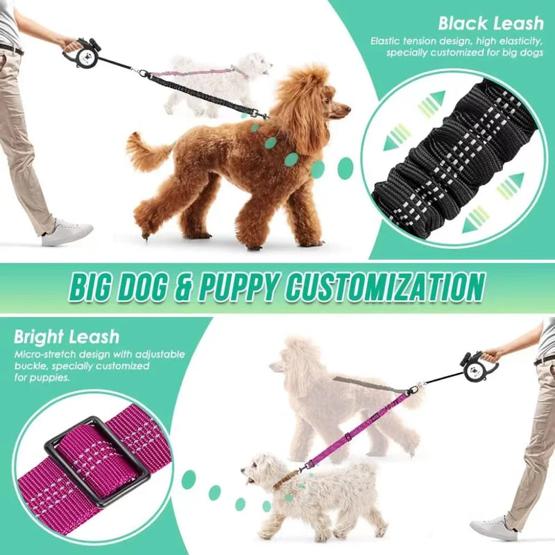 Dual Dog Leash with Shock-Absorbing Bungee