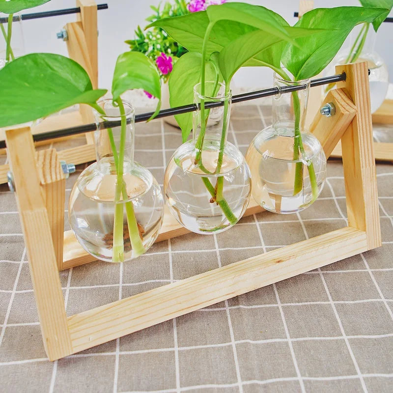 Tabletop Glass Planter Propagation Station with Wooden Rack