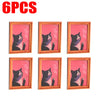 Cat Frame Fridge Magnets Set