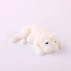 Kawaii Squishy Dog Fidget Toy