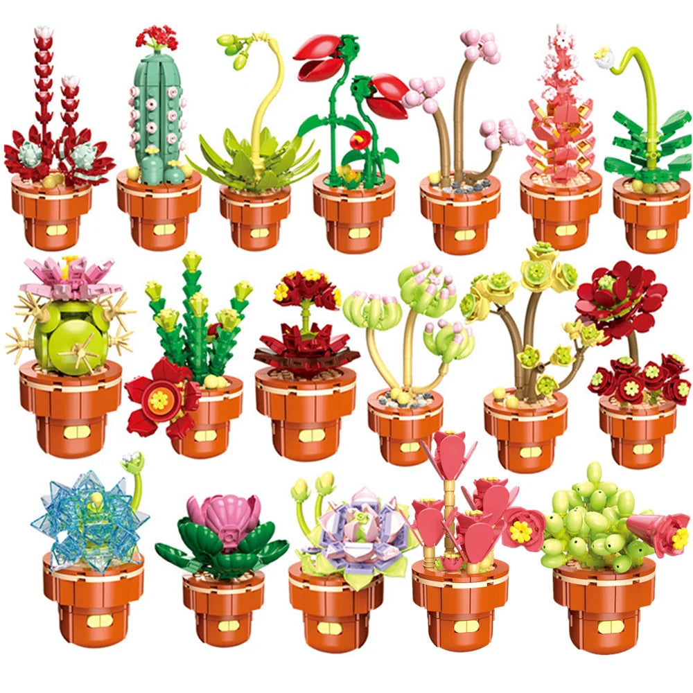 DIY Succulent Plant Building Block Bouquet