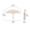 Beige, robustes, automatisches faltbares Regenschirm mit den Maßen.