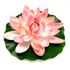A pink lotus flower with large petals rests on a green leaf.