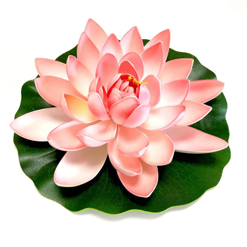 A pink lotus flower with large petals rests on a green leaf.