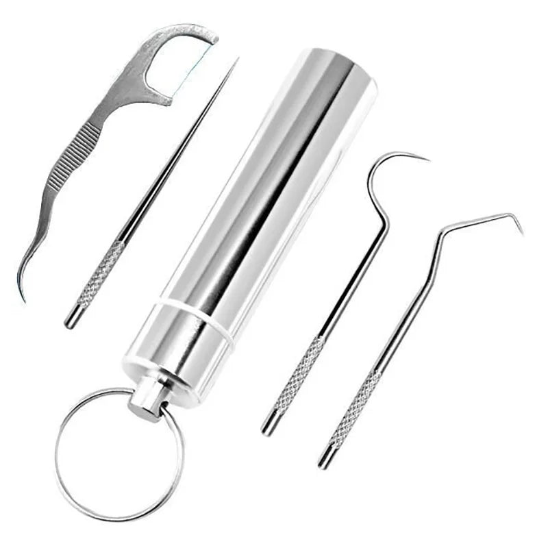 Reusable Stainless Steel Toothpick Set with Portable Case
