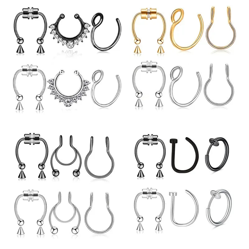 Magnetic Septum Ring Set