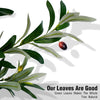 A branch of an artificial olive tree showing green leaves and a single red olive fruit.