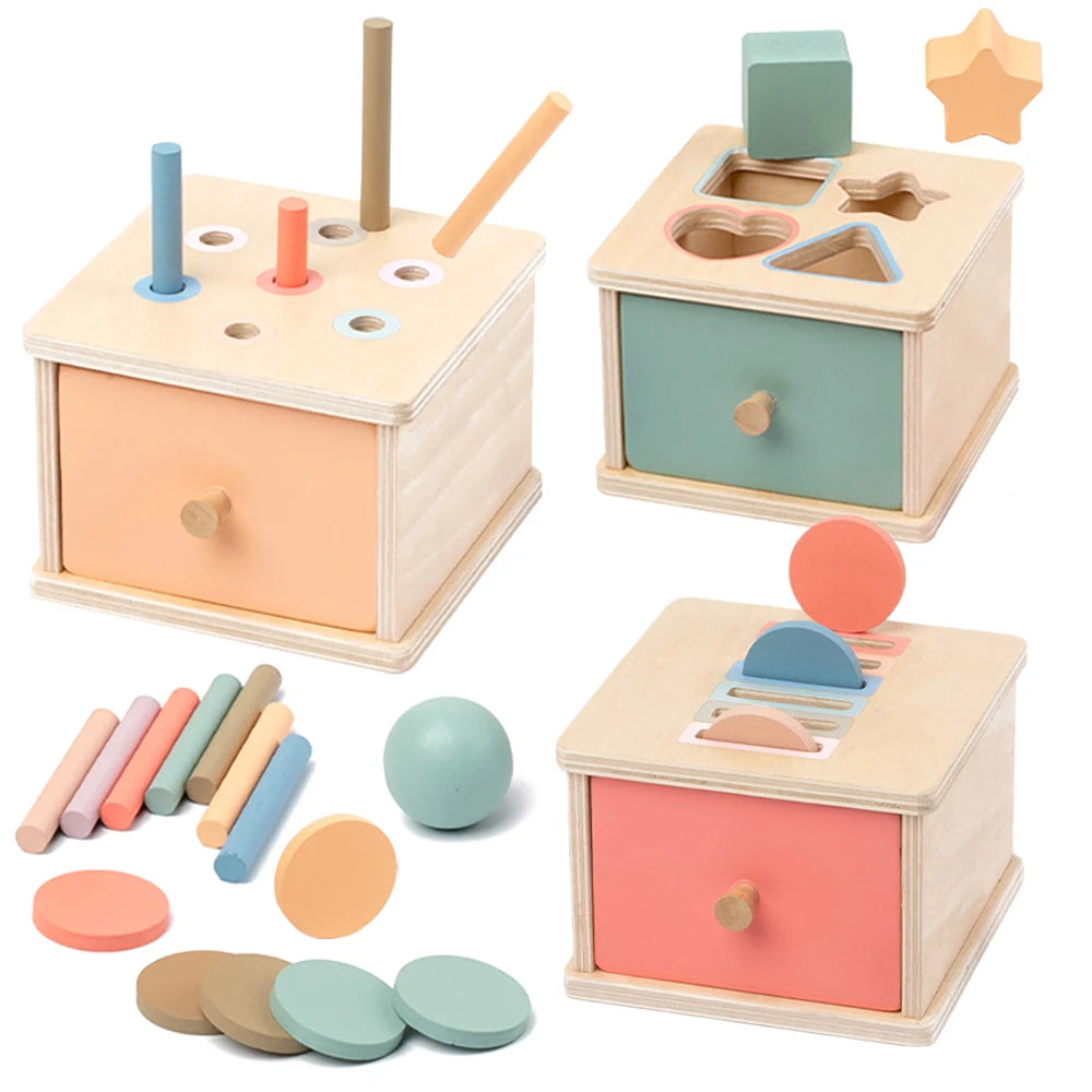 Montessori 4-in-1 Wooden Color Sorting & Shape Matching Box for Toddlers