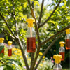 Yellow Plastic Fruit Fly Trap for Garden and Orchard