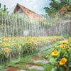 A flat soaker hose with a rain-like spray is watering yellow flowers and plants in a garden.