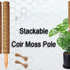 Stackable Coir Moss Pole used as an expandable support for climbing plants