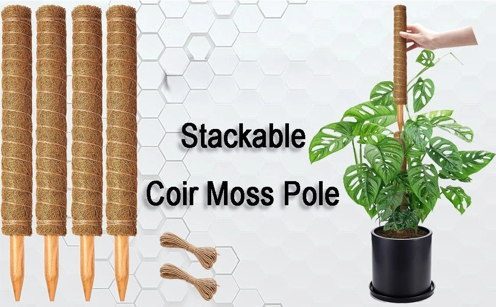 Stackable Coir Moss Pole used as an expandable support for climbing plants