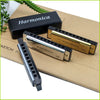 A harmonica is shown inside its protective case on a brown cardboard background.