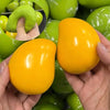 Color-Changing Mango Stress Ball with Crunchy Texture