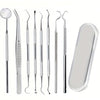 A set of premium stainless steel dental care tools for oral hygiene including various instruments and a cleaning disc.
