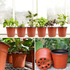 A row of terracotta seedling pots filled with various green plants on a windowsill and close-up shots of the reusable plastic