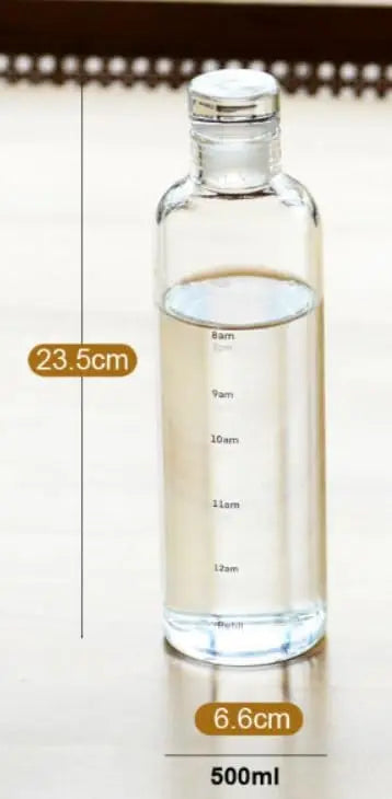 16oz Glass Water Bottle with Secure Lid