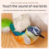 Interactive Plush Bird Cat Toy with Sound and Catnip