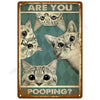 Vintage metal tin sign featuring four cat faces asking Are You Pooping?