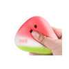 Watermelon Slow-Rise Stress Relief Squishy