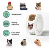 Funny Cat Graffiti Stickers for Personalization