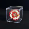 A red and white metal spinning top is displayed inside a clear plastic box.