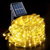 Solar-Powered LED Fairy String Lights