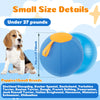 Interactive Dog Herding Ball with Handle