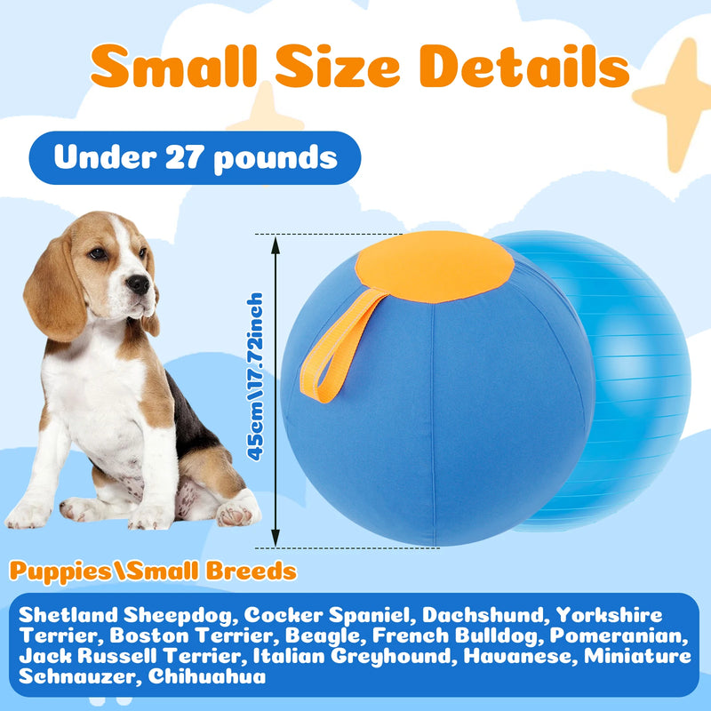 Interactive Dog Herding Ball with Handle
