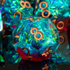 A close-up of a translucent blue polyhedral die resting on a reflective surface, surrounded by other dice.