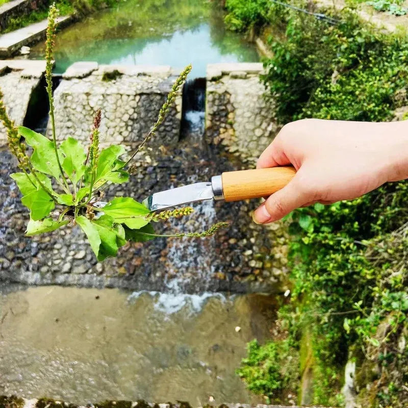 A hand holds a carbon steel manual weeding tool set with a sickle, weeder, and hand shovel near a small water feature.