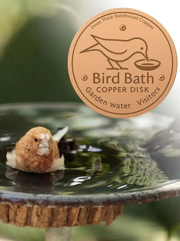 A round copper disk for a bird bath is shown with a small bird resting in the water.