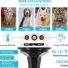 High-Power Pet Grooming Dryer with Adjustable Speed & Temperature