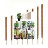 A collection of natural coir moss poles of various heights and diameters used for climbing plants.