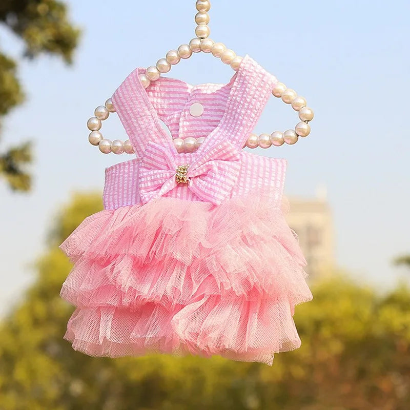 Robe à Rayures pour Animal de Compagnie avec Nœud et Dentelle