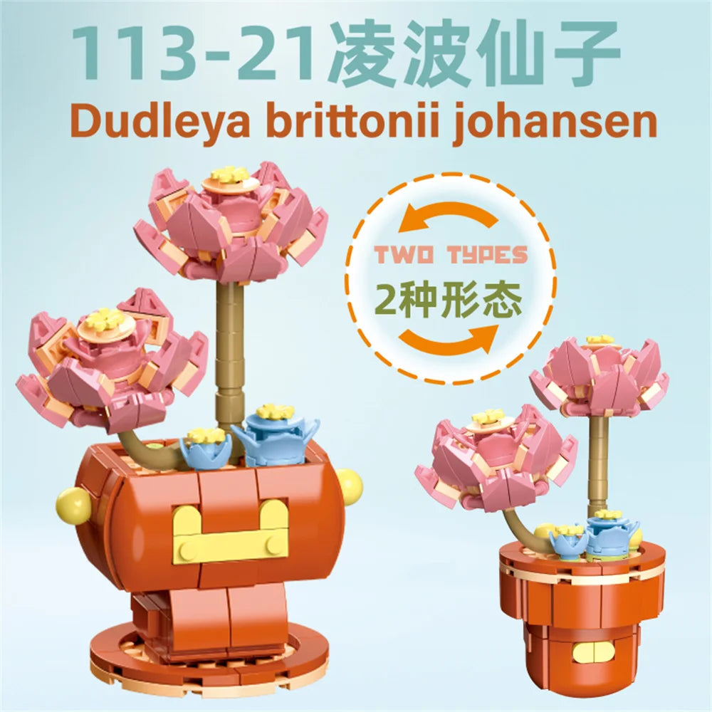 DIY Succulent Plant Building Block Bouquet