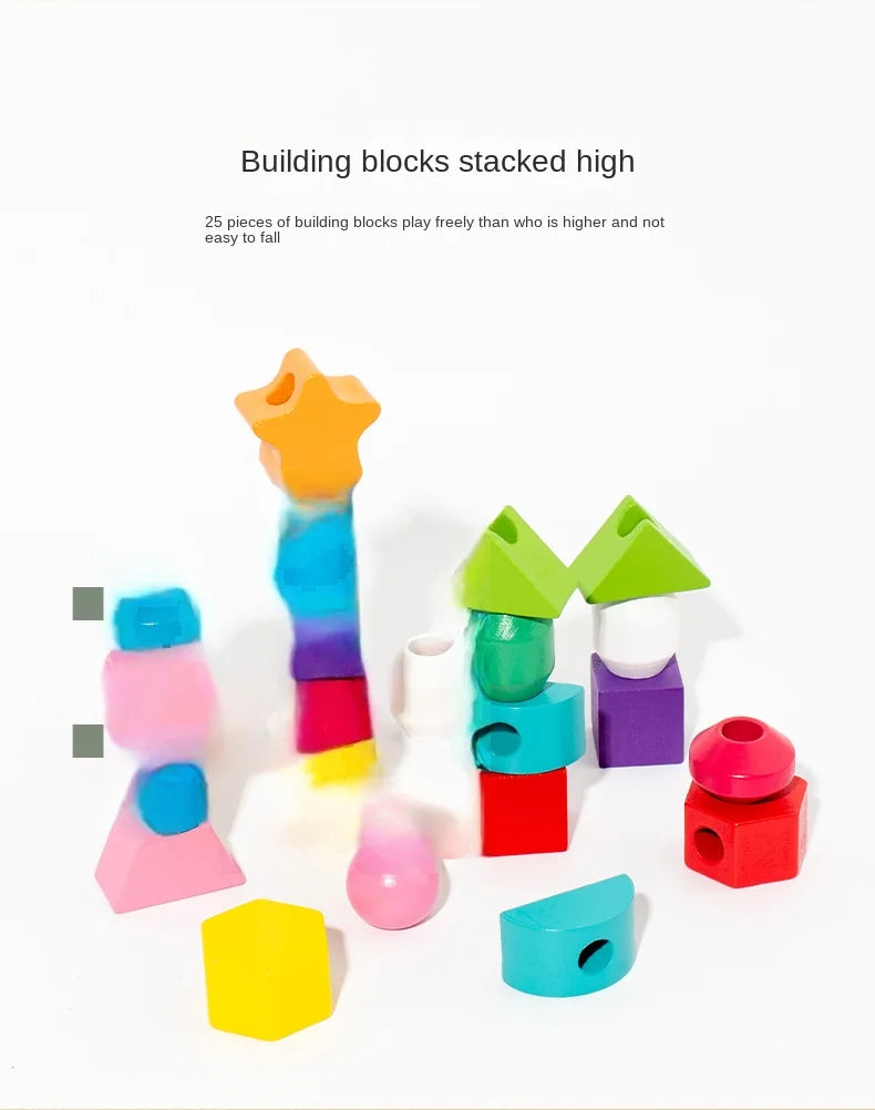 Montessori Wooden Color & Shape Matching Puzzle for Toddlers