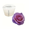 A silicone mold shaped like a purple rose for decorating chocolates, candy, and fondant.