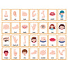 A grid of flash cards showing various human body parts like nose, ear, hand, foot, face, and head for children's vocabulary l