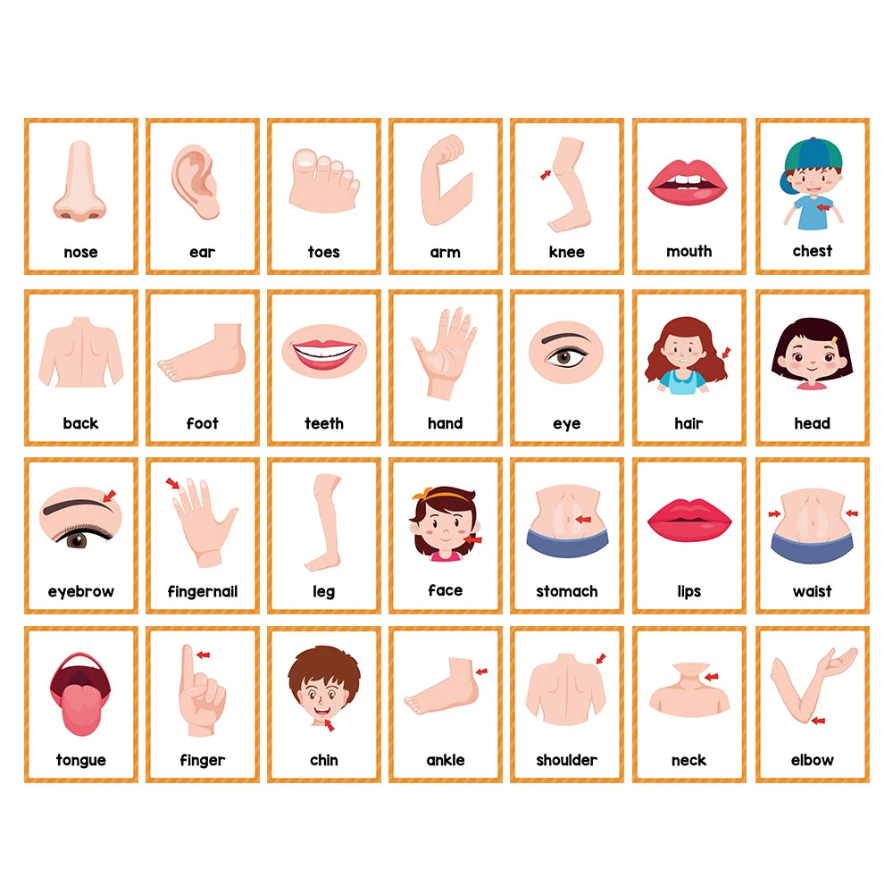 A grid of flash cards showing various human body parts like nose, ear, hand, foot, face, and head for children's vocabulary l