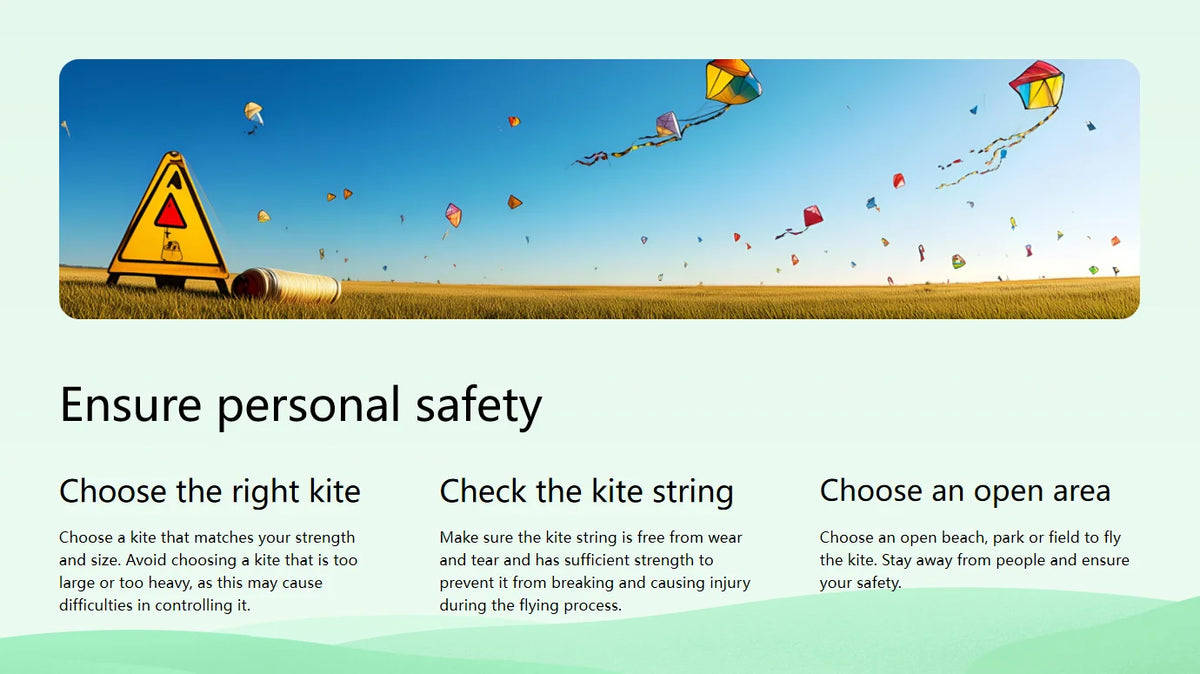 Ladybird Ground Kite for Outdoor Family Fun
