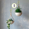 Stainless steel wire rope clamps used to suspend a potted plant from a hanging wooden hanger.