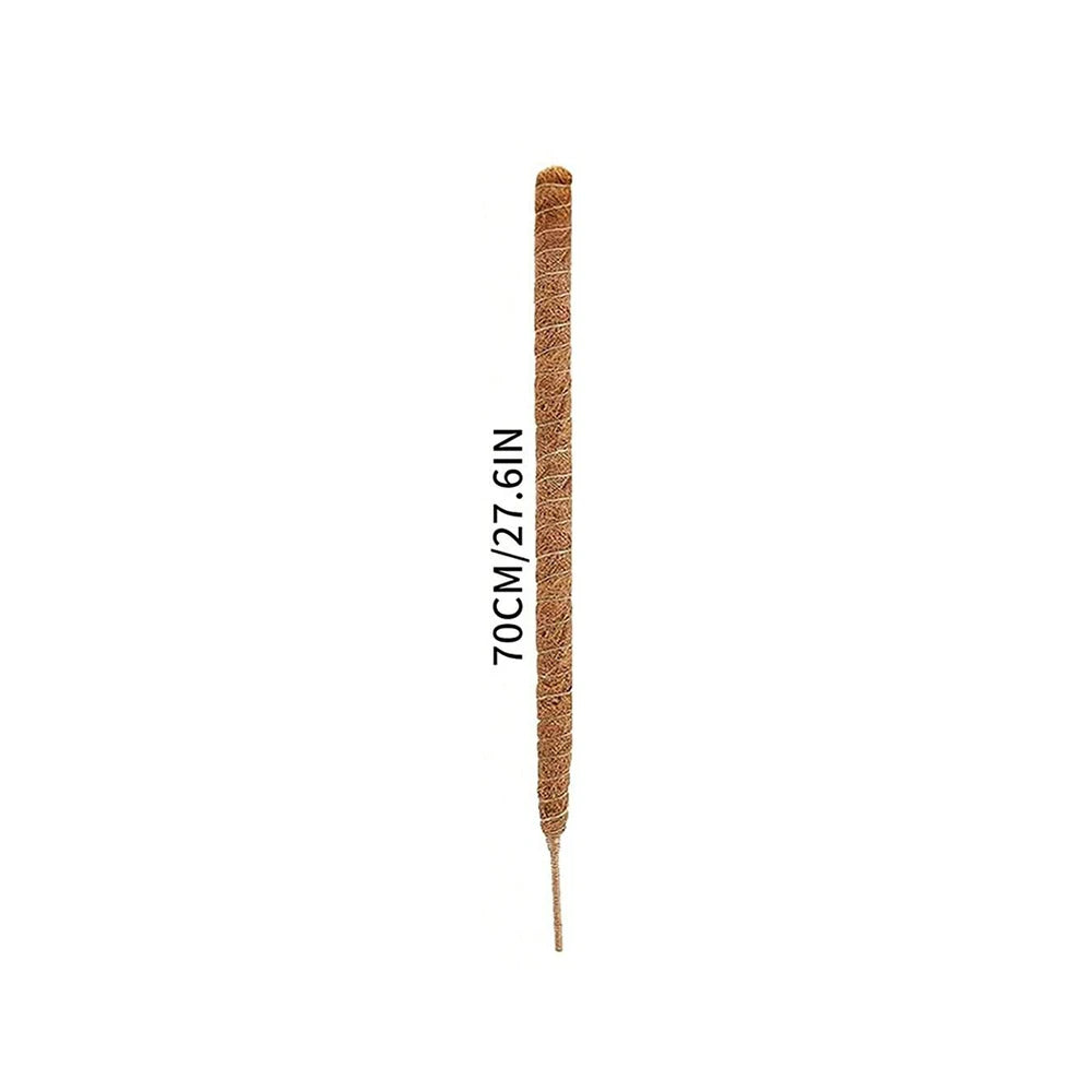 A vertical natural coir moss pole used for climbing plants, measuring 70cm or 27.6 inches.