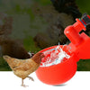 Automatic Poultry Drinking Cup