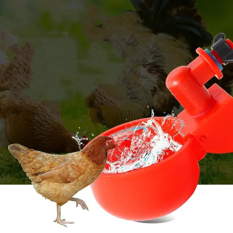 Automatic Poultry Drinking Cup