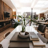 A large white orchid plant is displayed in a ceramic pot on a wooden table in a bright, modern interior.