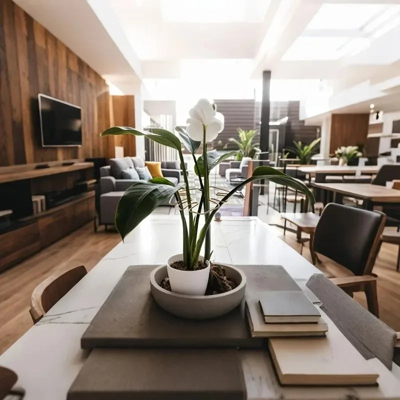 A large white orchid plant is displayed in a ceramic pot on a wooden table in a bright, modern interior.