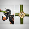 A precision grafting pruner with three interchangeable blades is shown cutting into a green branch of a fruit tree.