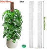 Two plastic plant moss poles measuring 91cm or 36 inches, used for indoor climbing plants.
