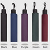 A row of five folding umbrellas in black, blue, purple, green, and red colors.